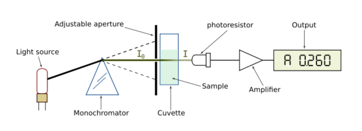 Diagram of fundamentals of spectrophotometer.